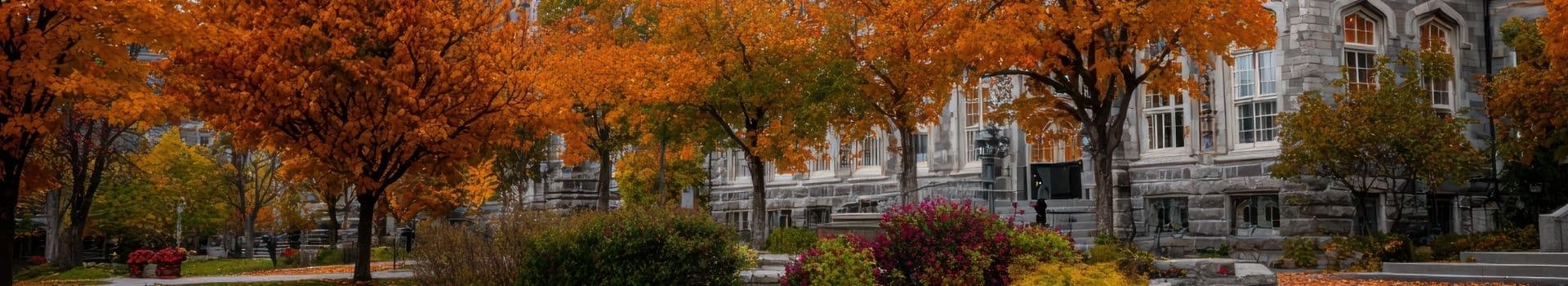 charles sturt university banner entry requirements, cost, scholarships, courses, etc